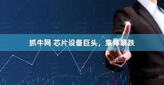 抓牛网 芯片设备巨头，集体暴跌