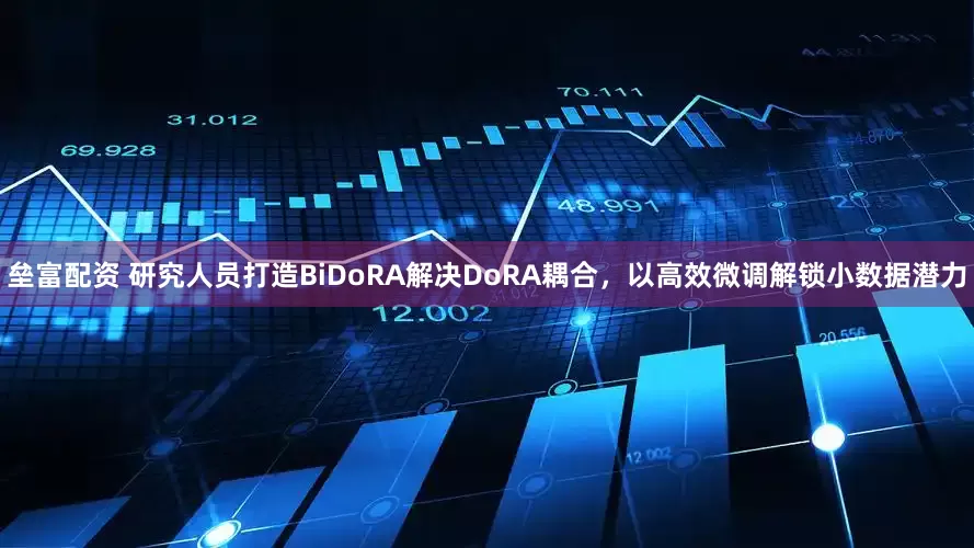 垒富配资 研究人员打造BiDoRA解决DoRA耦合，以高效微调解锁小数据潜力